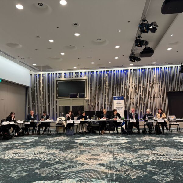 Meeting of Representatives of Finnish Social and Cultural Organizations with the Election Observation Delegation of the Council of…